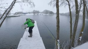 Ловля прудовой форели. Царская рыбалка