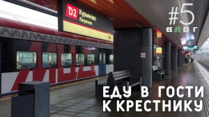 Влог #5. Путешествую по РЖД. В гости к крестнику. Готовлю дачу к зиме. Завершаю Ремонт в Твери. Shas