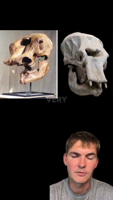 Where the Cyclops myth came from смотреть онлайн