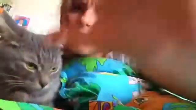 ЗАТИСКАЛА КОТЕЙКУ😸 смотреть онлайн