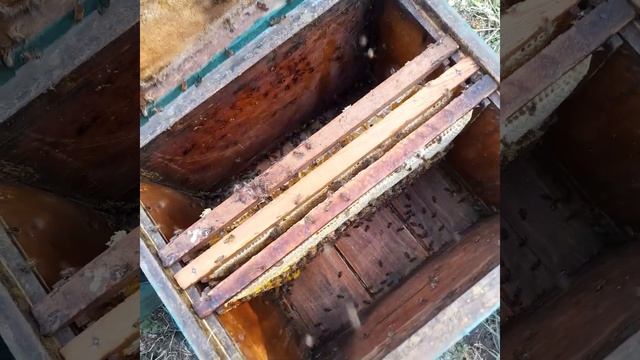 15 июля 2024 г. смотреть онлайн