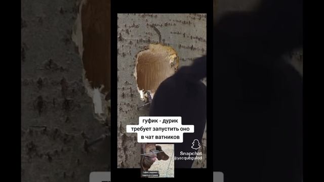 турбопатриоты опасные для общества