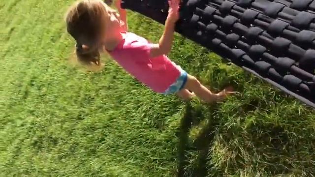 Our new pet Cicadoidea смотреть онлайн