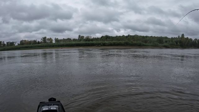 🎣 ЕСТЬ🎣#fishing#рыбалка#carpfishing#природа #рыбалка#ловля#рыбалка#ловлящуки#природа#щука#отдых