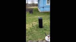 Priroda.2025 деревня,шашлыки, лето!