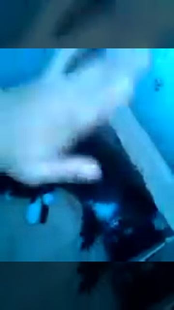 котик боится щекотки смотреть онлайн