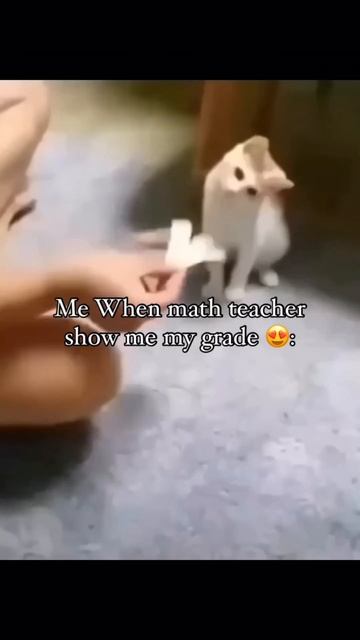 DAY8 🤯 GOT 4/8 ON MY TEST🤯 #funnymemes #subscribe #funny #foryou #memes смотреть онлайн