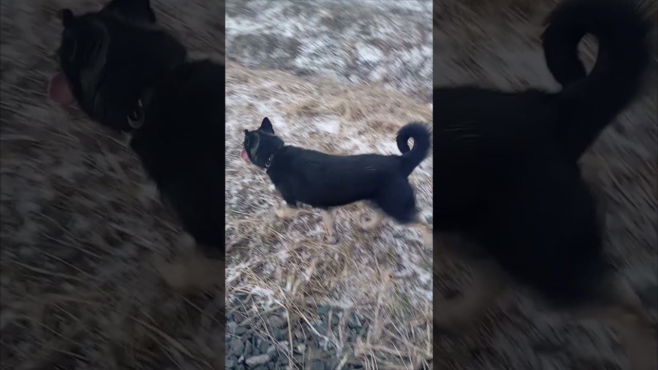 Устал смотреть онлайн