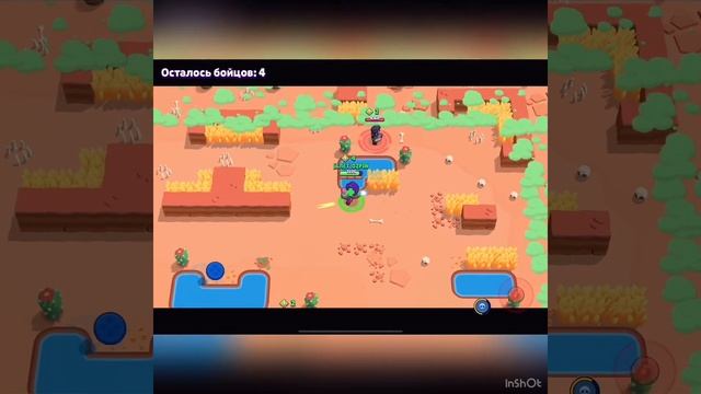 Brawl Stars за Роза и тара нубство смотреть онлайн