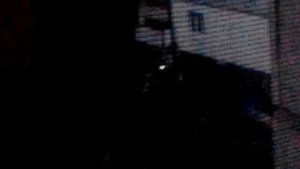 Фонареголовый существует