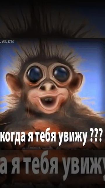 Обезьяна в шоке смотреть онлайн