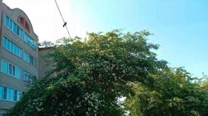 Общий массаж для ребёнка. День 1.13июня 2023