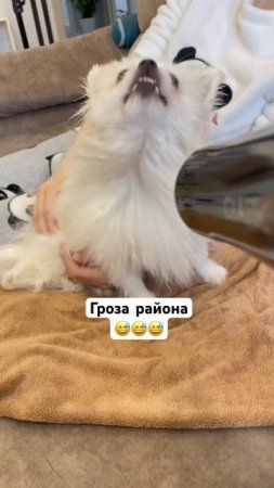 Спа-процедуры у Раффи