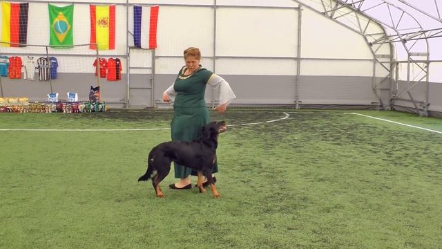 Лобастова Инна и босерон Исгаард Вишенка на Торте смотреть онлайн