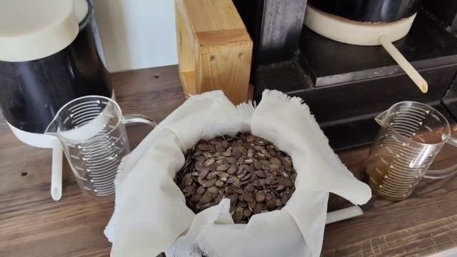 Тыквенное масло отжим и польза