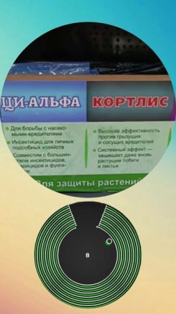 Short, приколы