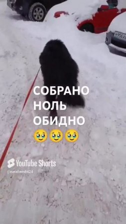 ЛЮДИ ДОБРЫЕ ПОМОГИТЕ 🙏🆘