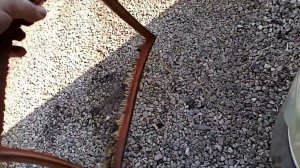 Воздушный фильтр сверх нулевого сопротивления форд транзит (жесть на сто)