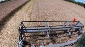 уборка рапса вектор 420