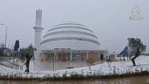 Абдугаппар Сманов куран