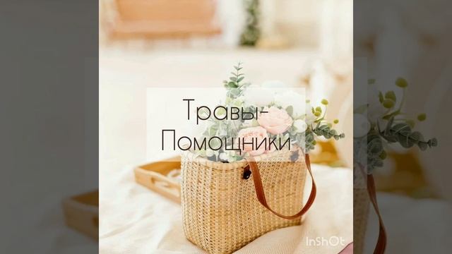 Травы - помощники 🌿