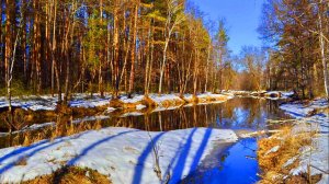 ВЕСНА В СЕЛЕ И ЗА ОКОЛИЦЕЙ
