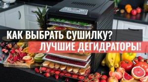 Выбор сушилки для фруктов и мяса: как избежать ошибок и выбрать лучший дегидратор!