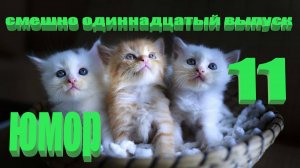 Удивительные животные  выпуск одиннадцатый 11