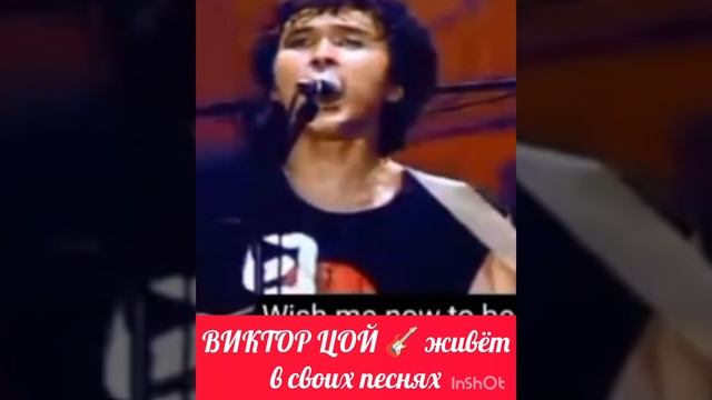 "Перлы" знаменитостей .mp4