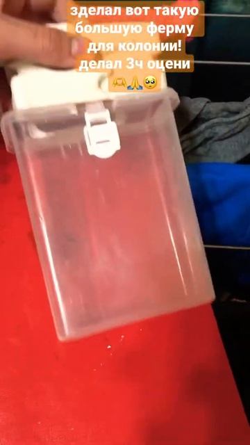 ОГРОМНАЯ САМОДЕЛЬНАЯ ФЕРМА! #shorts #матка #муравьинаяферма #муравьи смотреть онлайн