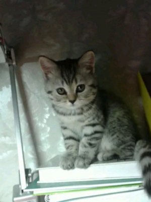 Доброе утро и мы с вами садимся завтракать