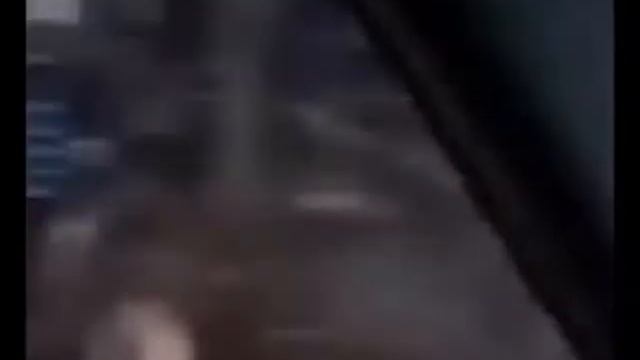 ДЕЛЬФИН смотреть онлайн