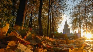 Московская осень. Посвящение бойцу не вернувшемуся с СВО...