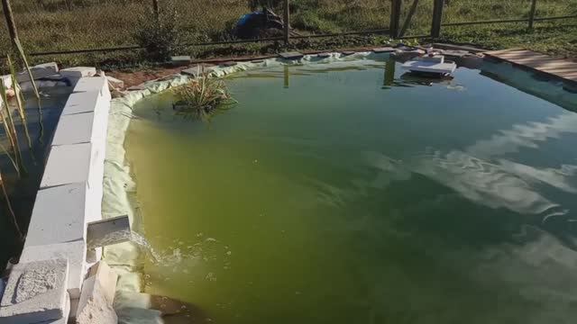 Пруд на даче смотреть онлайн