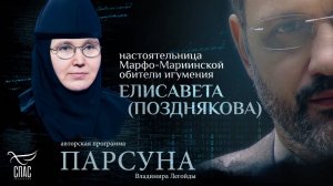 МЕШАЮТ ЛИ ГАДЖЕТЫ СПАСЕНИЮ? ПАРСУНА ИГУМЕНИИ ЕЛИСАВЕТЫ (ПОЗДНЯКОВОЙ)