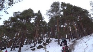 Битва за пельмени Подробности