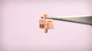 AKKO SWITCH SERIES EP02 | Akko Haze Pink Silent (or *Silenced*) Switches | Budget Silent Switches