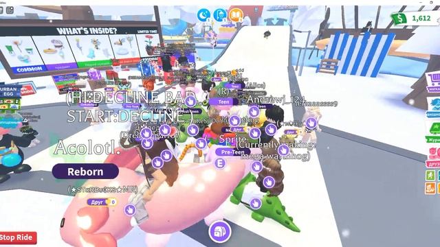 адопт ми трейдим райд фламинго смотреть онлайн