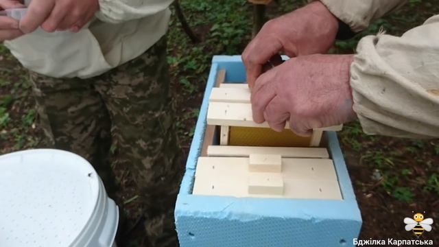 Заселяю нуклеуси🏠 смотреть онлайн