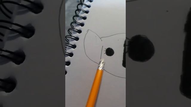 how to draw a cartoon koala🐨 смотреть онлайн