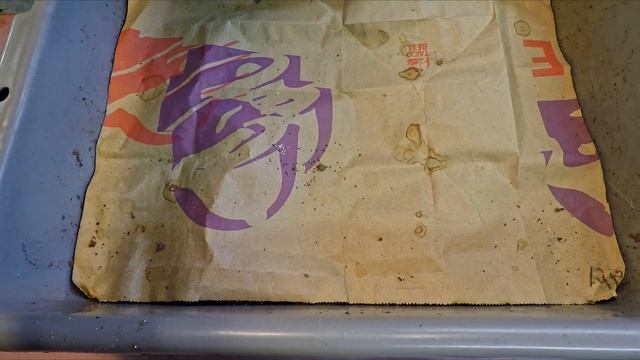 Final baby worm haul-out from compost barrel's cocoon nursery - vermicompost смотреть онлайн