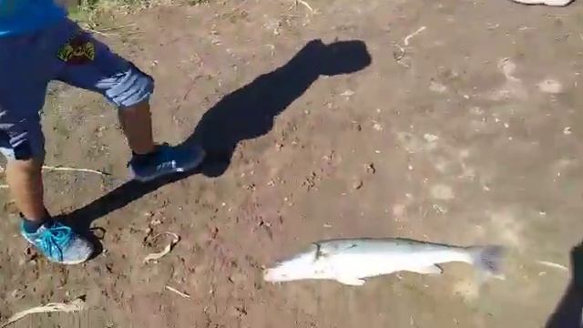 СУДАК НА 3 смотреть онлайн