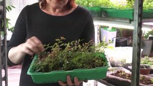 Как принципы пермакультуры работают в нашей лаборатории