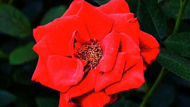 Канал самых свежих русских клипов про любовь 2015 года смотреть онлайн