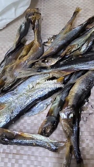 Мойва вяленая под пенное. смотреть онлайн