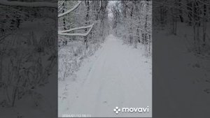 Песня ГОН