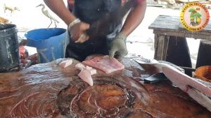 Cutting Barakuda Fish | Fish Cutting Skills Sri Lanka