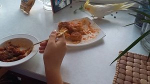 #корелла #попугай Тоша кушает макароны