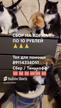ЧЕЛОВЕК ПОМОГИ 🙏🆘