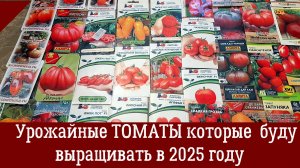 Урожайные и вкусные томаты которые я буду выращивать в 2025 году